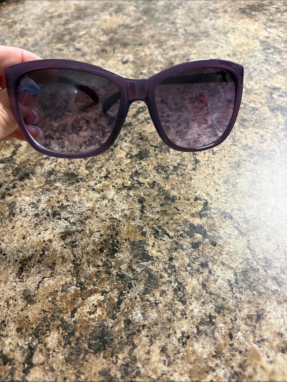 Calvin Klein Purple Cat-Eye Women's Sunglasses